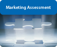 Marketing Assessment